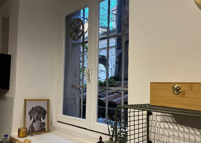 Le Pendentif - Centre Historique 公寓 *